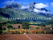 5. Winelands Tour