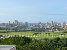 1. Durban Highlights Tour