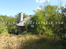 londolozipioneer1 PIONEER CAMP