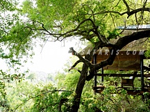 LONDOLOZI TREE CAMP 