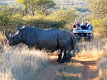 MADIKWE