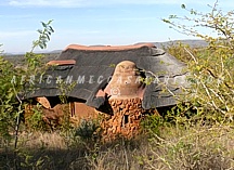 MADIKWE SAFARI LODGE 