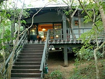 phindaforest1 PHINDA FOREST LODGE