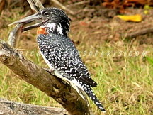 ST LUCIA ISIMANGALISO