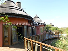 THANDA - NEAR HLUHLUWE