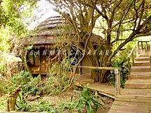 THONGA BEACH LODGE