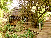 THONGA BEACH LODGE