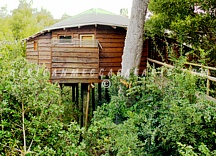 TSALA TREETOP LODGE